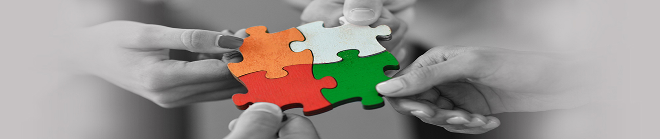 Intrinsic Solutions